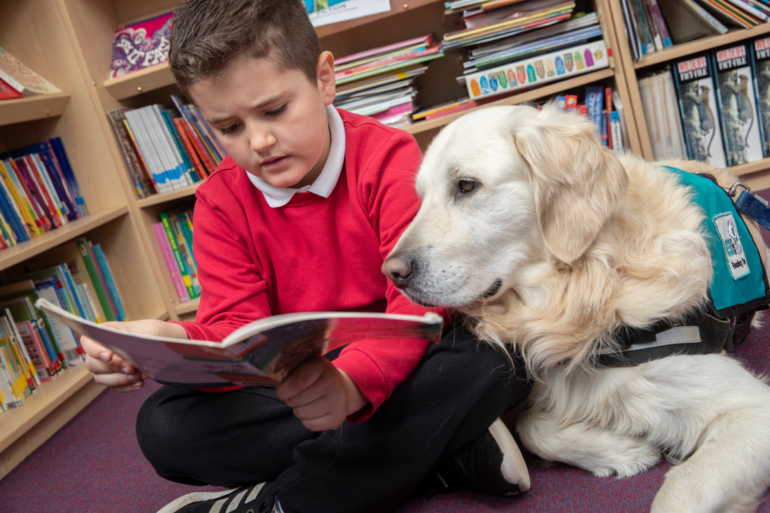 ‘Reading Dogs’ Scheme Launched at Schools to Boost